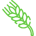 Icon for Indistry